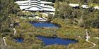 Kingfisher Bay Resort - Fraser Island - QLD SQ (PBH4 00 17814)
